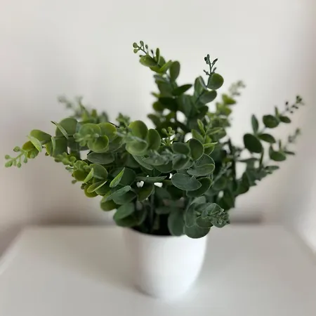 Maison Capucine Hébergement de vacances