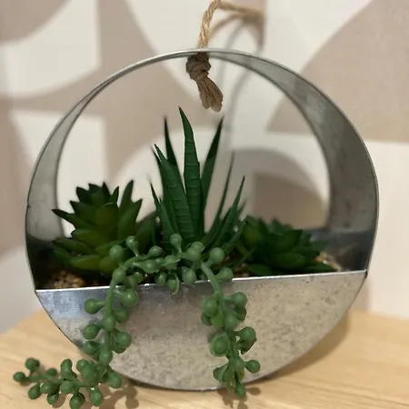 Maison Capucine Fouquereuil