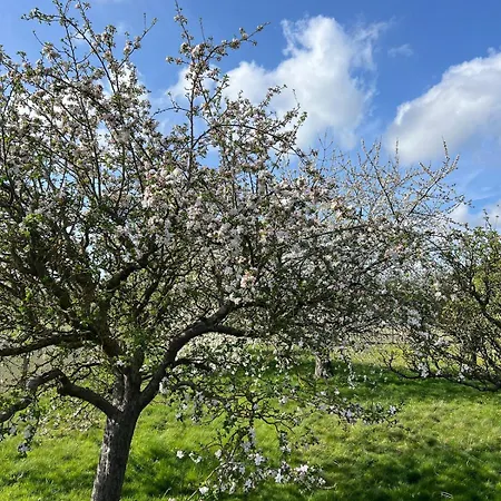 Maison Capucine Prázdninový dům Fouquereuil